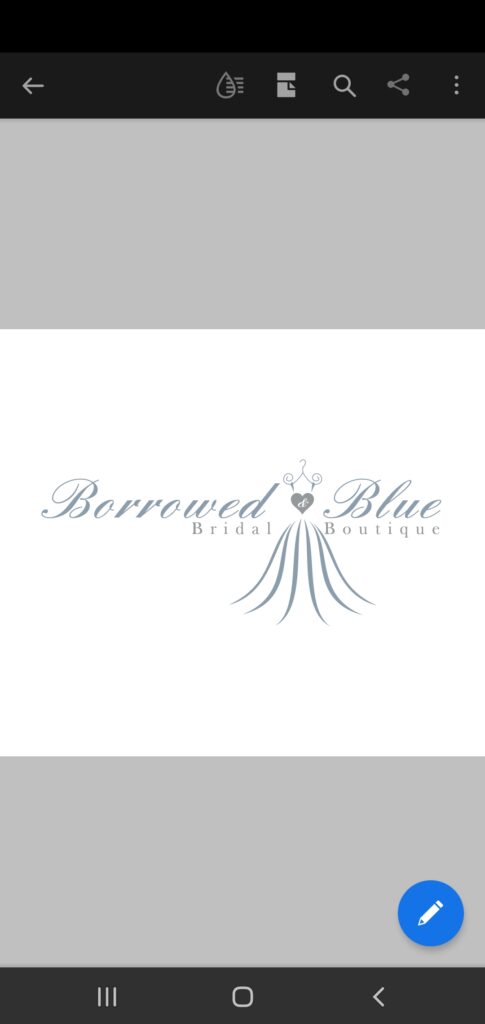 Logo Screenshot Borrowed and Blue