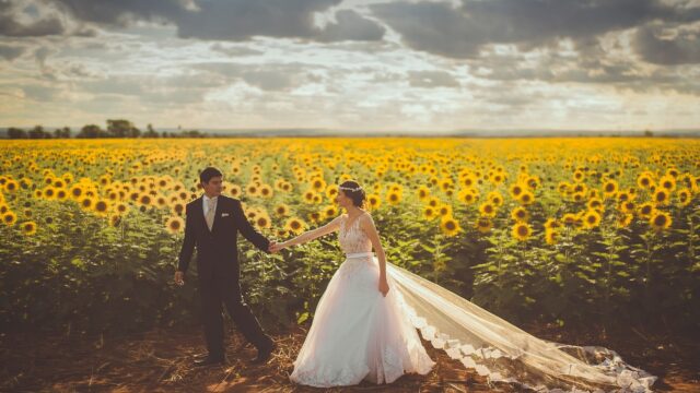 wedding, couple, sunflower field-1867318.jpg